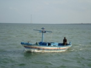 autos-bateaux-djerba-tunisie-1253775985-1295485.jpg